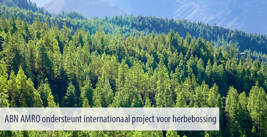 ABN AMRO ondersteunt internationaal project voor herbebossing