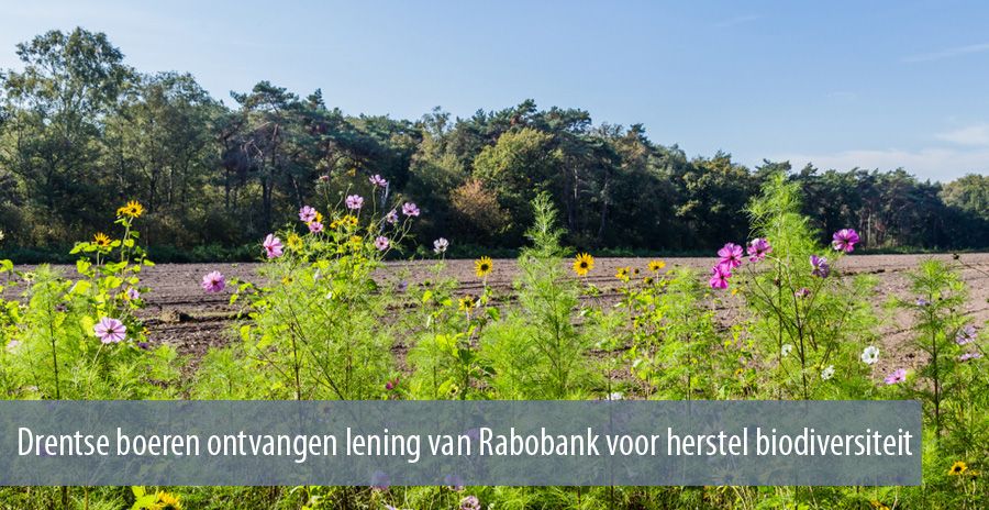 Drentse boeren ontvangen lening van Rabobank voor herstel biodiversiteit