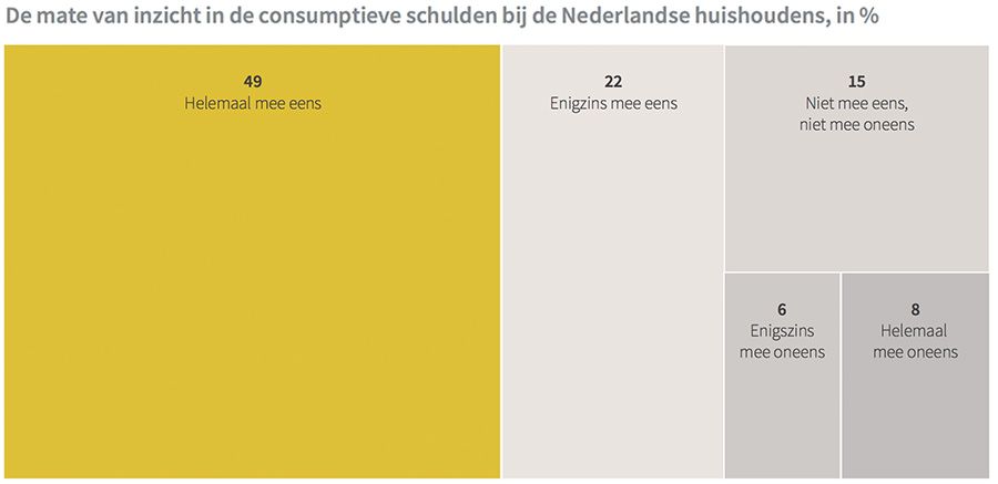 De mate van inzicht in de consumptieve schulden bij de Nederlandse huishoudens