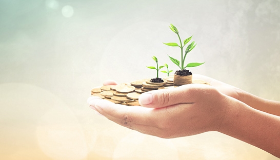 Rabobank start Innovatie Fonds voor duurzame startups