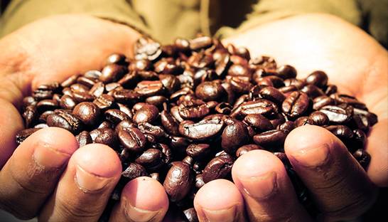 ABN AMRO coördineert kredietfaciliteit van €25 miljoen voor kleine koffieboeren