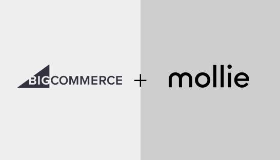 Preferred Technology Partner-status levert Mollie nieuwe betaalgebruikers op 