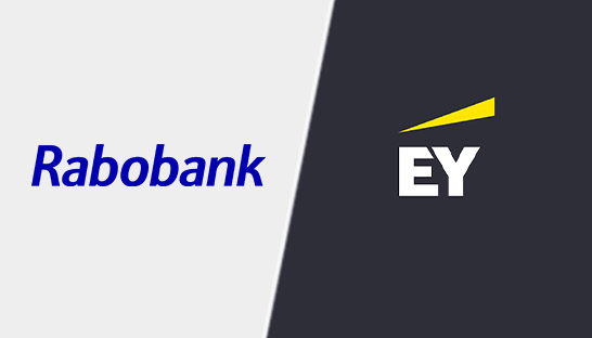 Rabobank kiest voor EY als nieuwe externe accountant 