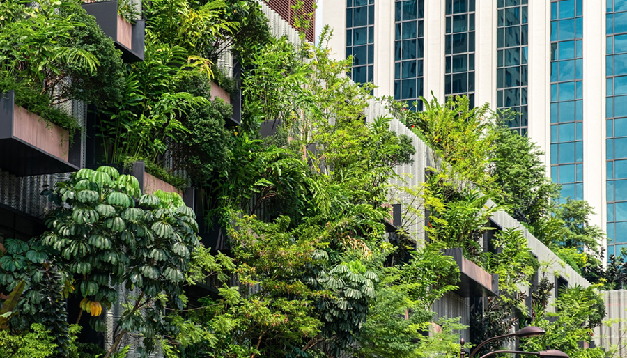 BNG start proef met groene leningen voor woningcorporaties