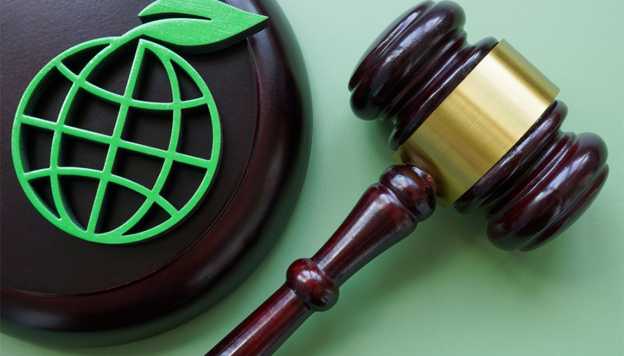 Triodos kiest vlucht naar voren in haperend klimaatbeleid: ‘Wachten op regelgeving is geen optie’